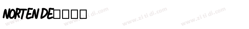 norten de字体转换